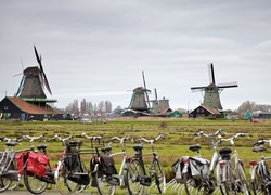 Normal_zaanse_schans_lcd